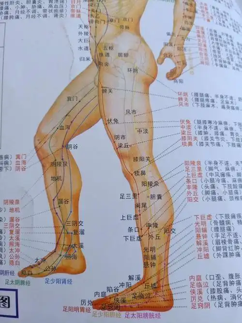 双腿属于人体的远端组织,离心脏比较远,心脏喷射出去的血液可以顺利地