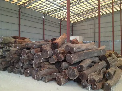 厂家长期大量供应优质进口 酸枝原木 批发
