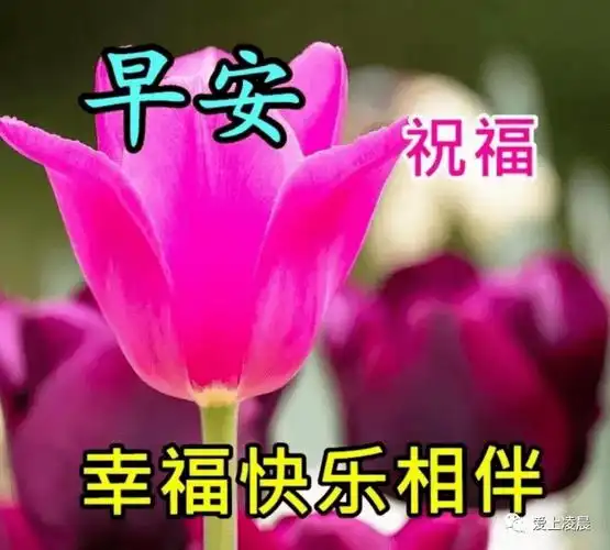 朋友_吉祥_平安