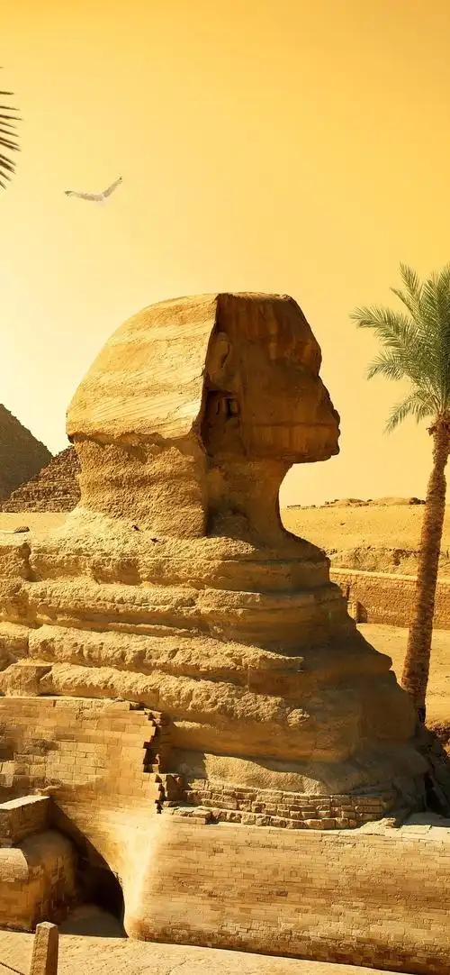 iphone 壁纸 埃及,开罗,狮身人面像,金字塔,沙漠,棕榈树