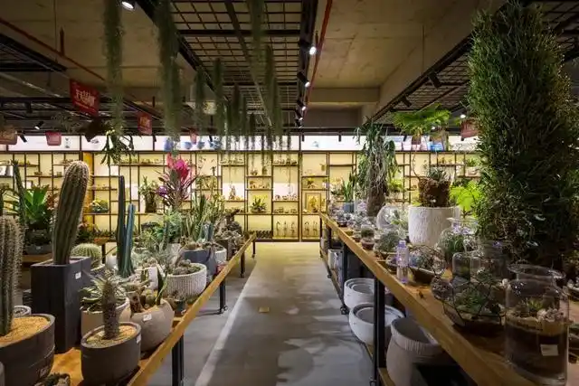 铁汉植己深圳最美主题园艺馆