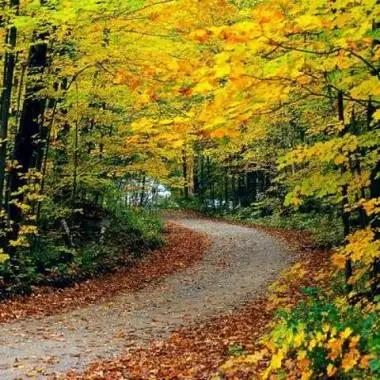 很优质很好看的风景大气招财头像很有质感很精致的风景招财头像