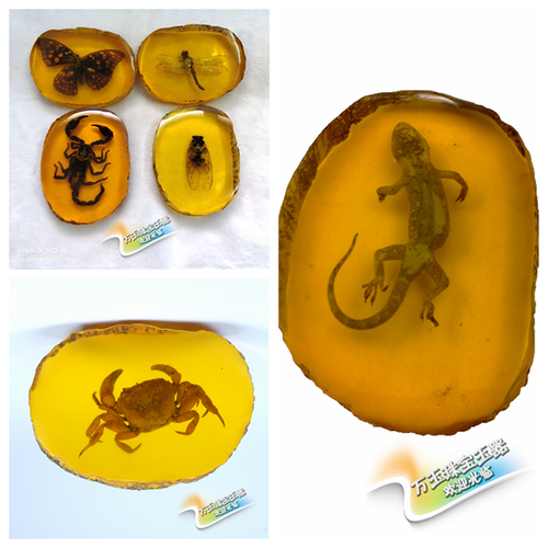 朴春 琥珀虫珀原石摆件 真昆虫动物化石标本琥珀景石挂坠居家办公装饰