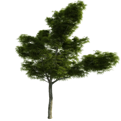 园林景观透明png