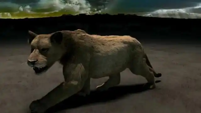 体长近4米重达400公斤的史前美洲拟狮!迄今最大的猫科动物!