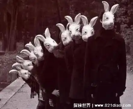 美国家喻户晓的兔子杀人恐怖事件,又被叫做是兔子杀人狂,据说这是一个