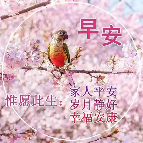 早上好图片漂亮祝福,早上好祝福美图美文_生活_亲爱的朋友_问候语