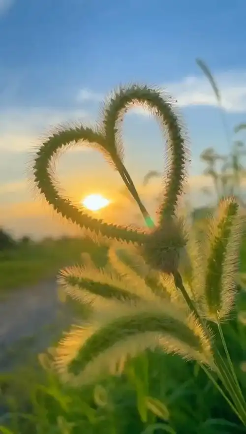 治愈系,净化心灵