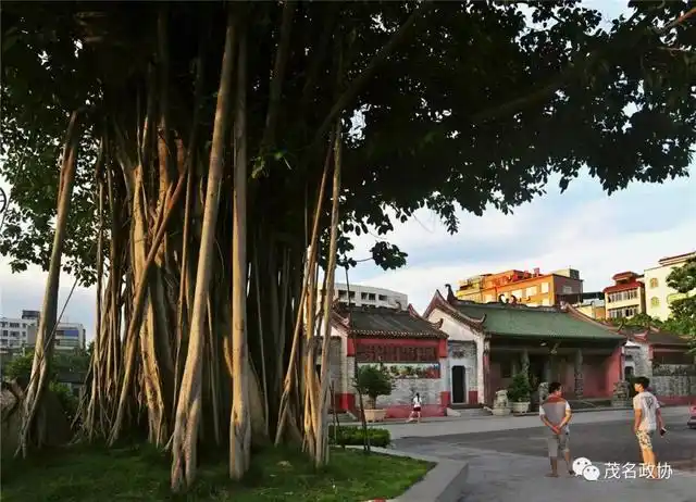 点赞茂名之名地走进高州冼太庙