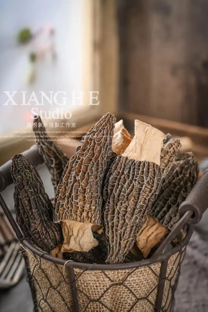 产品拍摄 野生菌 羊肚菌 主图静物摄影.#菌子的季节 #摄影 - 抖音