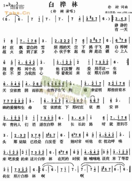 白桦林 歌谱简谱网