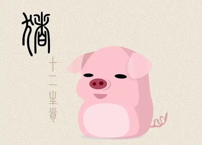 十二生肖ps钢笔矢量插画猪