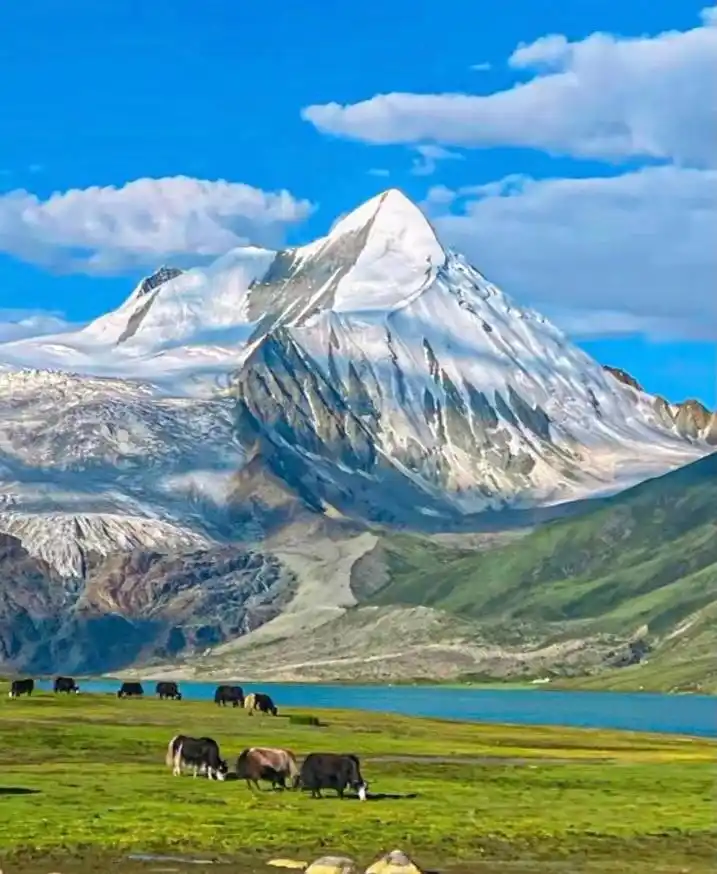 蓝天白云,雪山冰川,草原湖泊,这里有着原始的美丽