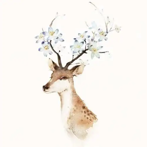 花鹿头像