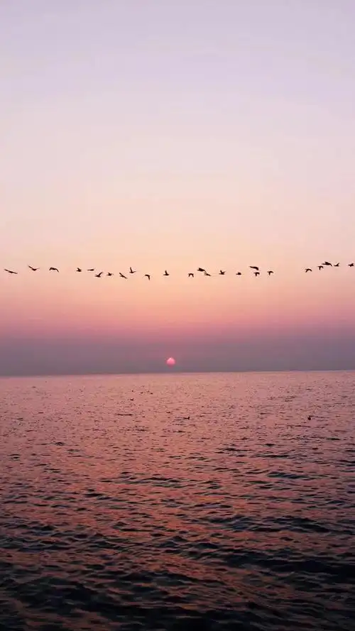 0聊天背景图片推荐 唯美自然风景手机壁纸 (全文).-csdn博客