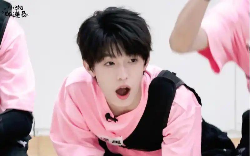 张泽禹|小狗成精!穿着粉色衣服跑来跑去_哔哩哔哩_bilibili