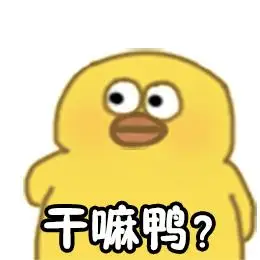 小黄鸭高清表情包鸭鸭鸭