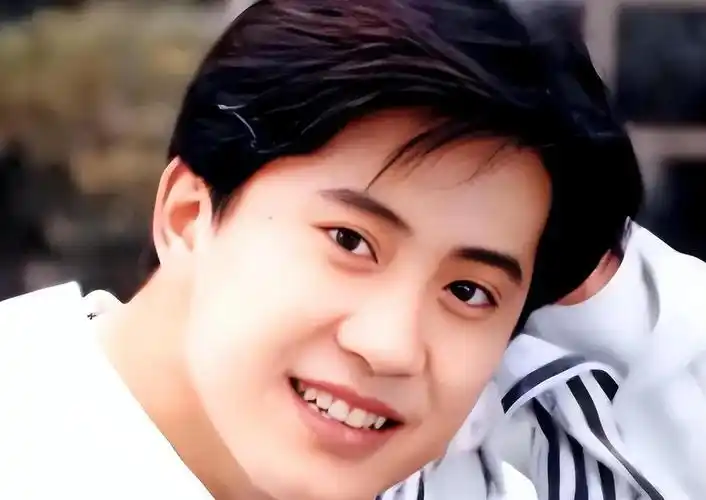 八次春晚也挡不住一次失足:毛宁从万人追到无人问的背后