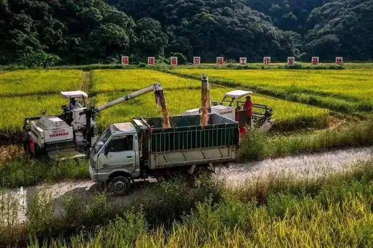 福建上杭中都镇坚守三心争当红土先锋