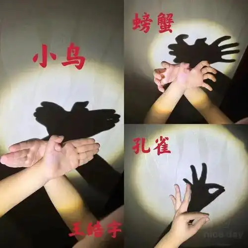 【直通校园】用手也能"演小动物"?