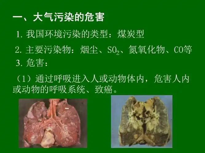 环境污染的危害