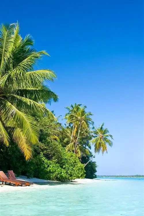 壁纸 马尔代夫,棕榈树,沙滩,椅子,海洋,热带 3840x2160 uhd 4k 高清