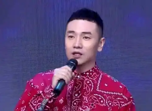 为何王琪能登上春晚独唱可可托海的牧羊人农村励志歌手