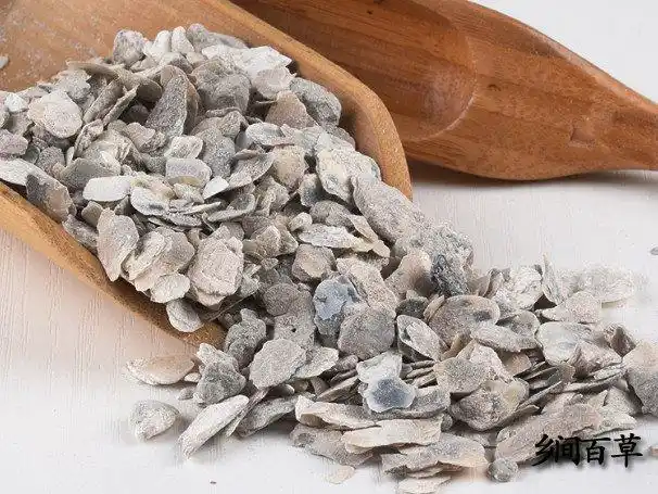 牡蛎的功效与作用及禁忌_中药禁忌网