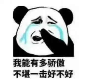 我能有多骄傲不堪一击好不好_我能_不堪一击_好不好_骄傲表情
