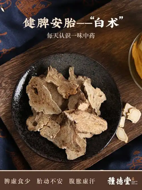 每天认识一味药健脾安胎白术涨知识