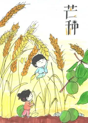 二十四节气小主播芒种