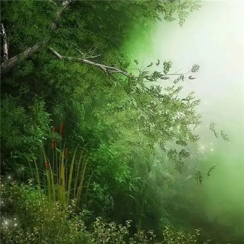 唯美森林风景头像图片