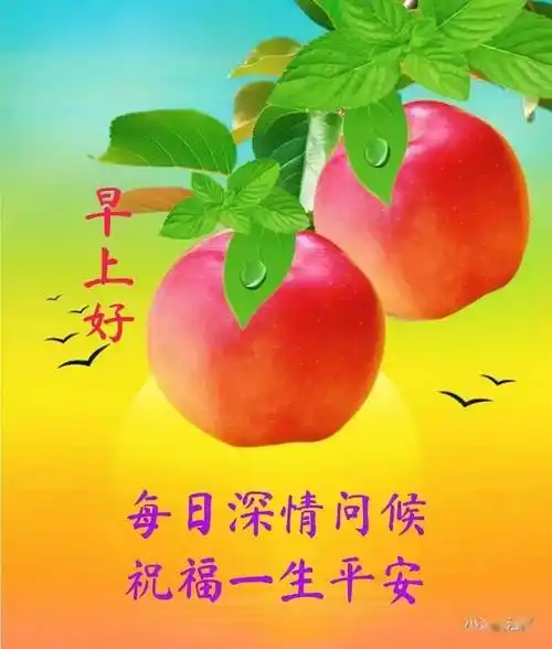 今日最新早上好表情图片大全,让美好的一天,充满快乐和幸福_问候_心情