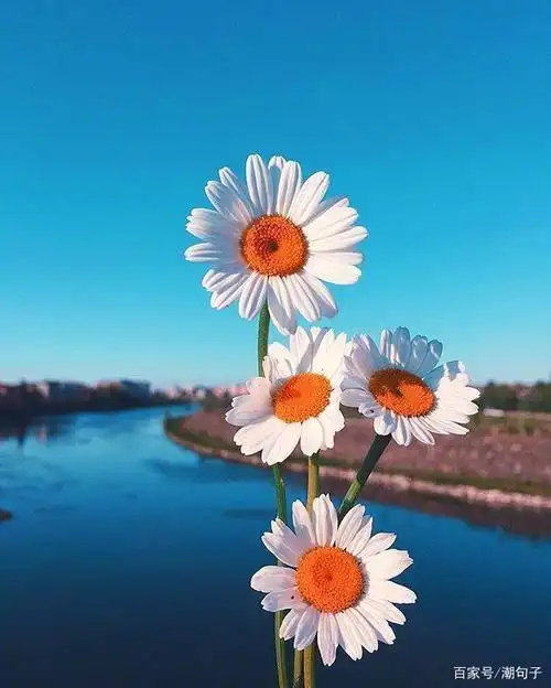 表达心情开朗的句子心情豁达开朗的说说