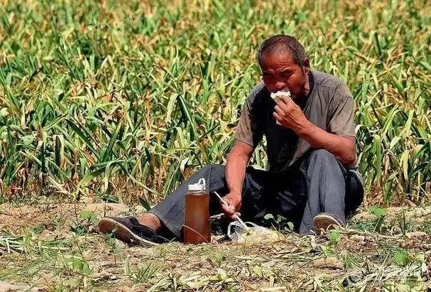 农民可以退休,发放退休金?网友:想多了!