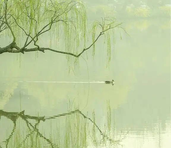 春日扬州,只此青绿_杨柳青_花红_建筑