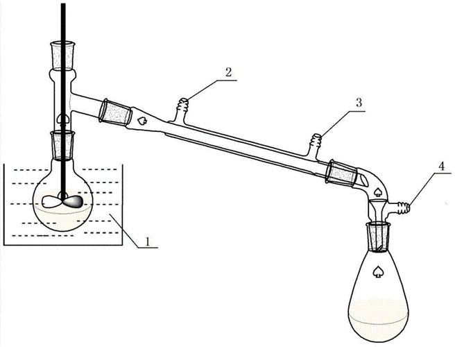 包括:采用减压蒸馏装置,将玉米醇溶蛋白溶解于乙醇水溶液中,然后加入