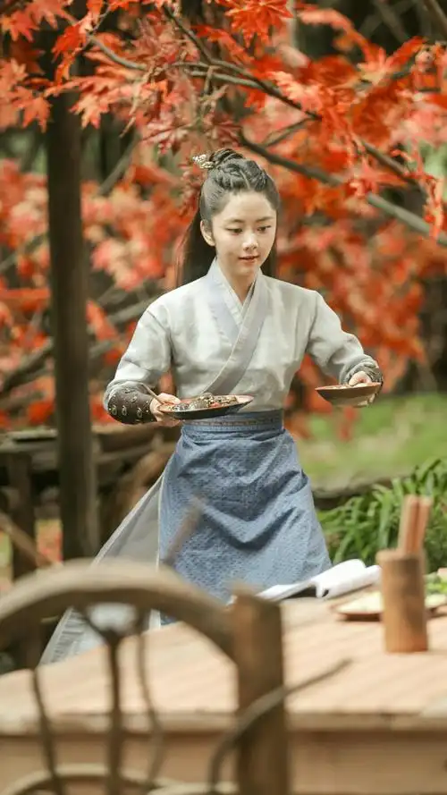 锦衣之下袁今夏谭松韵