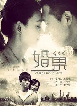 婚巢(更新至34集)-全集在线观看-电视剧-爱奇艺影视大全