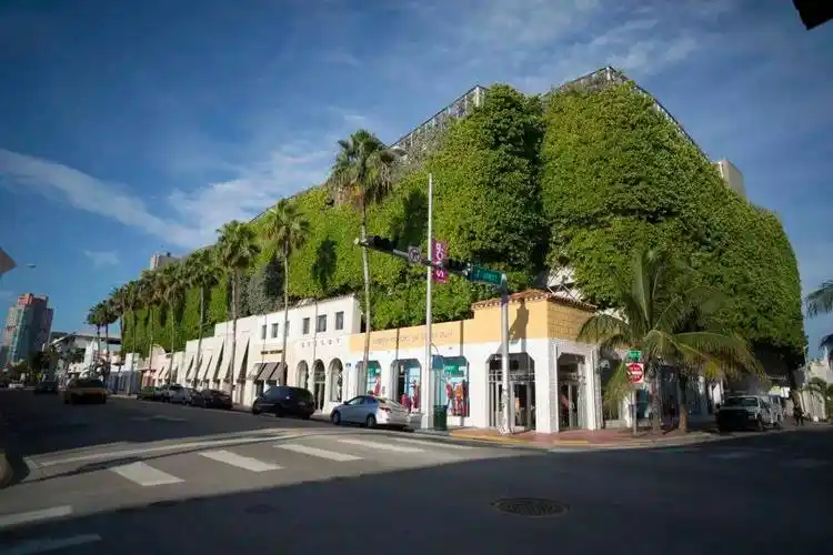 迈阿密海滩植物园the miami beach botanical garden在艳丽的艺术装饰