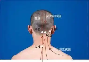 视力不好按后脑勺当天即可见效