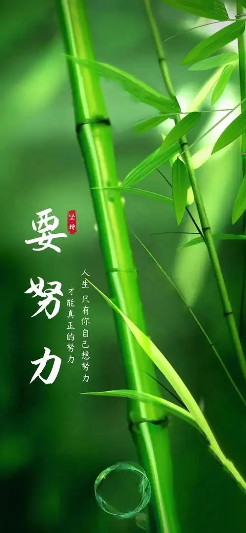 护眼屏保手机壁纸绿色(护眼壁纸手机高清绿色)