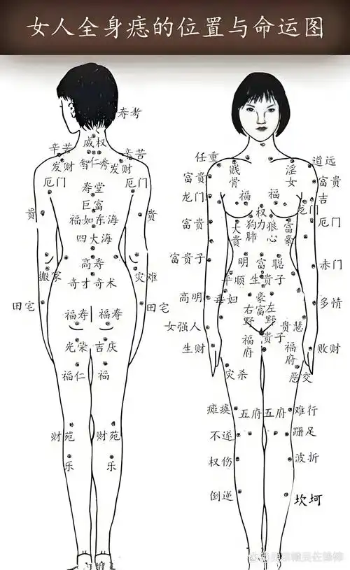 身上的痣长在哪里?有说法. ·1.下巴有痣,一定多才. ·2.