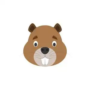 矢量海狸儿童卡通风格的海狸脸.动物脸矢量插画系列照片