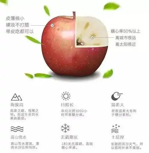 而盐源"丑苹果"目前的 甜度最高可达19°!