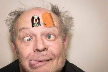 奇葩的人正常吗,奇葩是什么意思