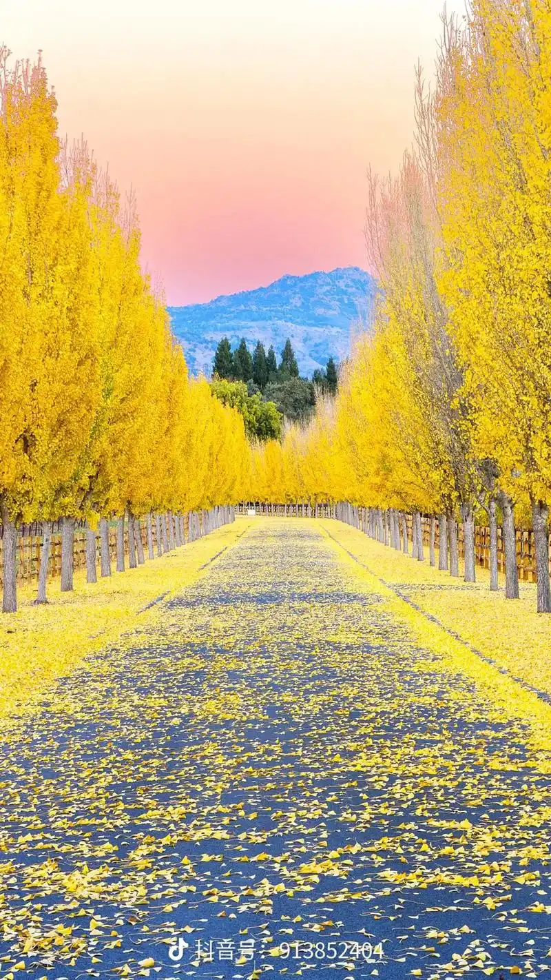 自然风景 #唯美意境 忽有故人心上过, 回首山河已是冬,  - 抖音