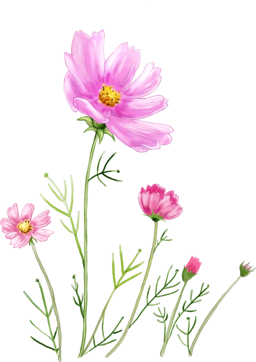 手绘花儿图片大全_手绘花儿图片素材【png免费下载】-90设计网