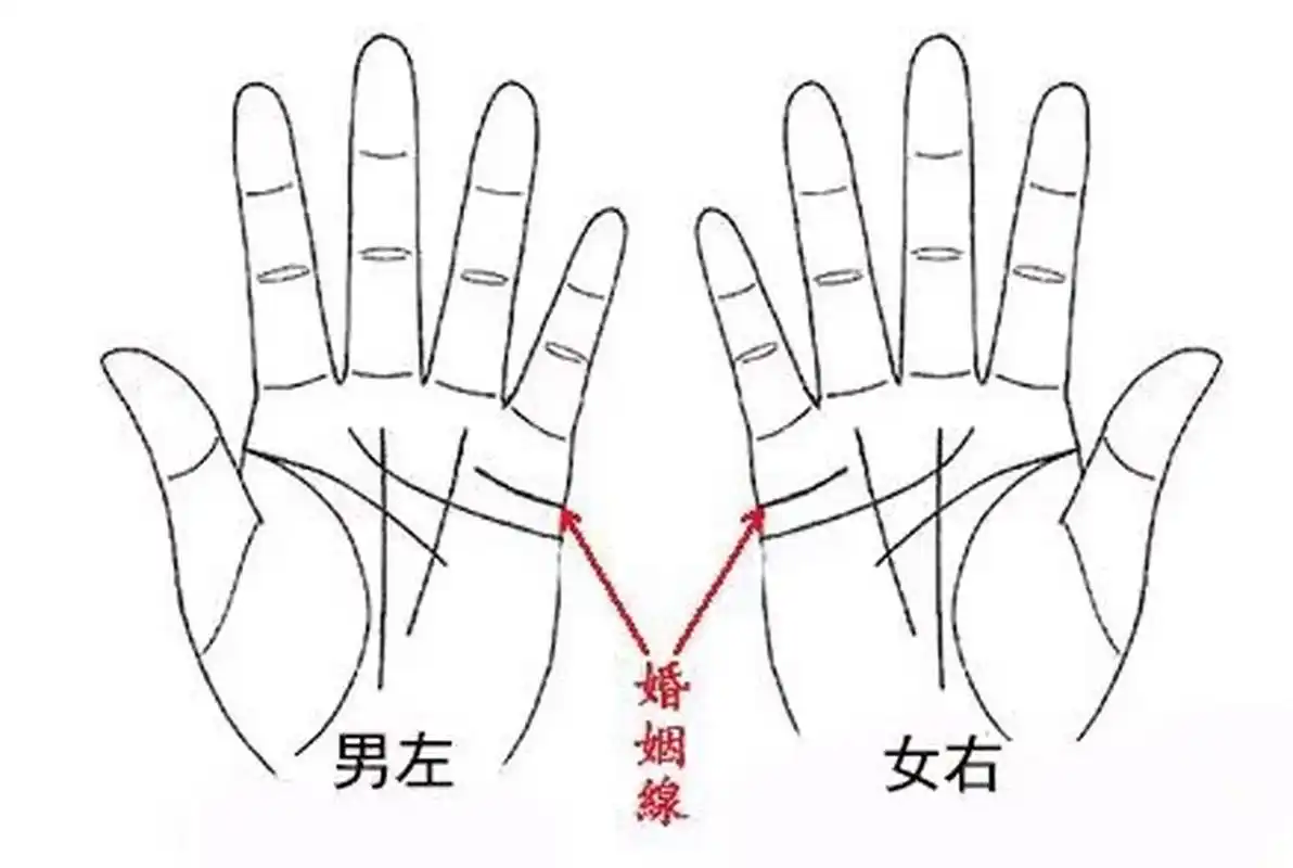 这样手相的人,在婚后生活常常处于弱势的那一方,而且要注意的是女人