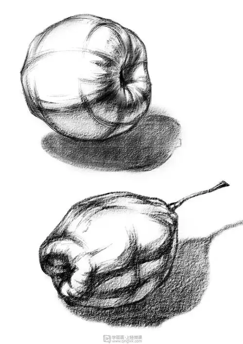 水果临摹素描静物绘制训练